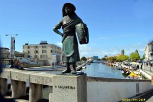 1431 - Aveiro